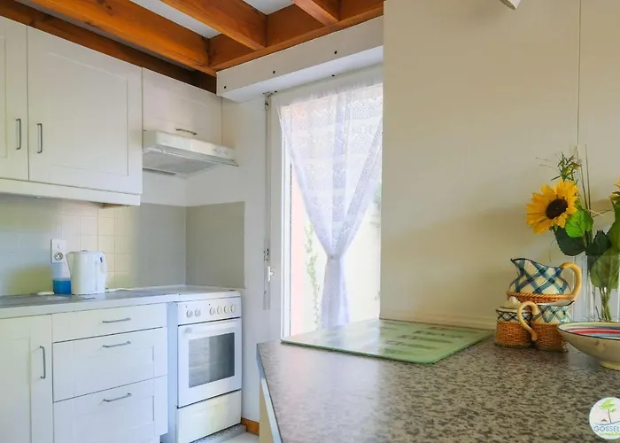 Duplex 4 Pers A 200 M Du De Navarrosse بيسكاروس