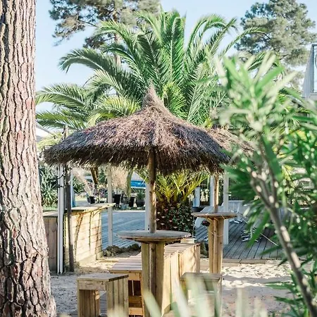 Duplex 4 Pers A 200 M Du De Navarrosse * Biscarrosse