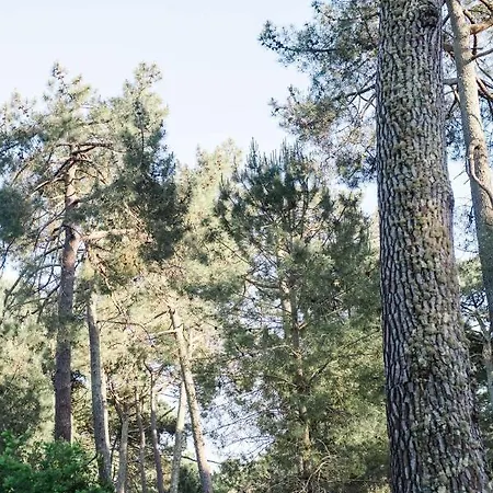 Duplex 4 Pers A 200 M Du De Navarrosse *