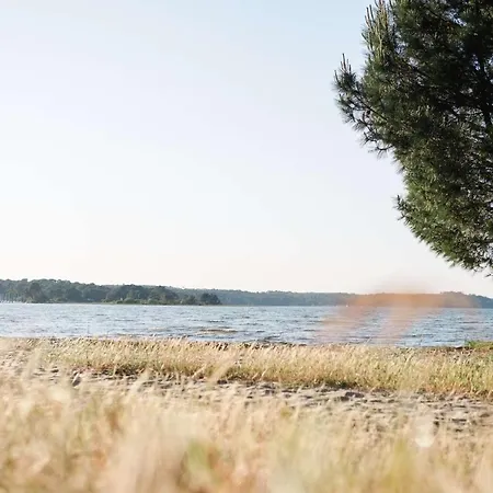 Duplex 4 Pers A 200 M Du De Navarrosse