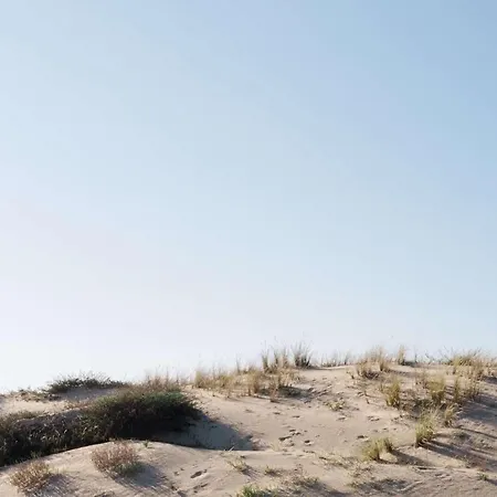 Villa Duplex 4 Pers A 200 M Du De Navarrosse Biscarrosse