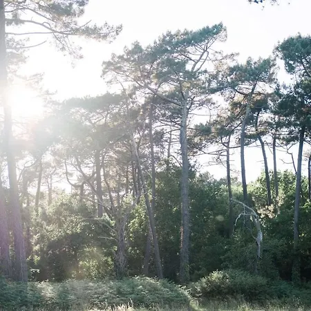 Duplex 4 Pers A 200 M Du De Navarrosse Biscarrosse