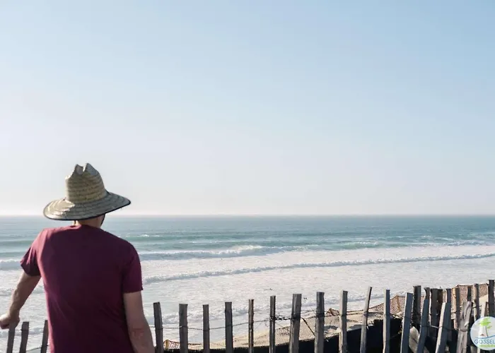 فيلة Duplex 4 Pers A 200 M Du De Navarrosse بيسكاروس