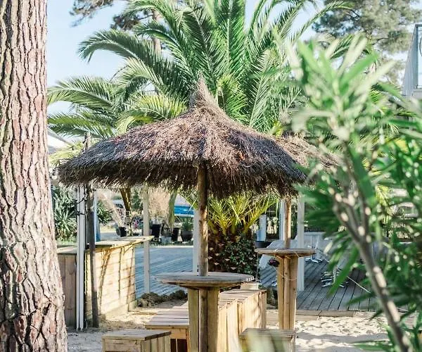 Duplex 4 Pers A 200 M Du De Navarrosse * بيسكاروس