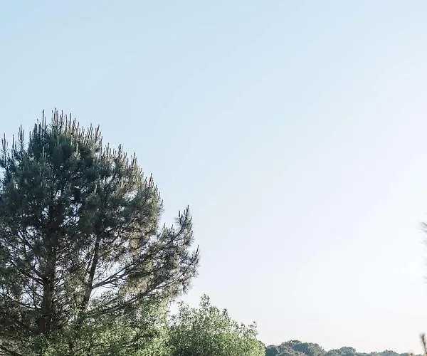 فيلة Duplex 4 Pers A 200 M Du De Navarrosse