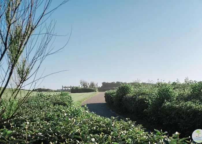 Duplex 4 Pers A 200 M Du De Navarrosse فيلة *