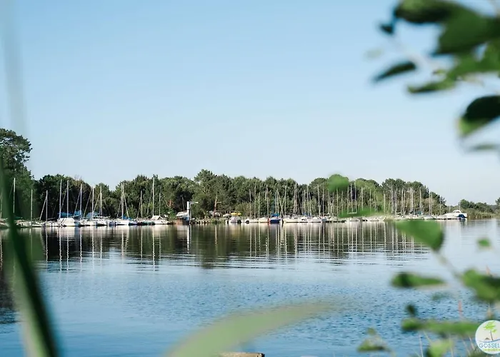 Duplex 4 Pers A 200 M Du De Navarrosse بيسكاروس