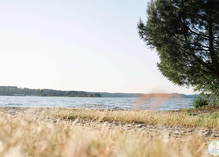 Duplex 4 Pers A 200 M Du De Navarrosse