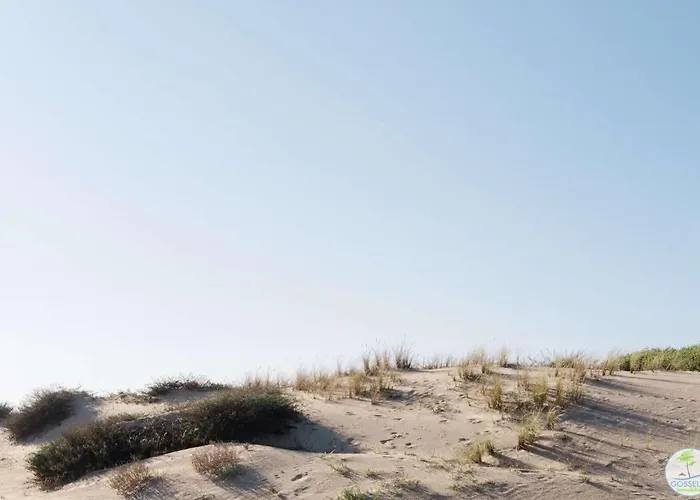 فيلة Duplex 4 Pers A 200 M Du De Navarrosse بيسكاروس