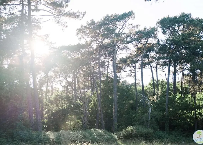 Duplex 4 Pers A 200 M Du De Navarrosse بيسكاروس